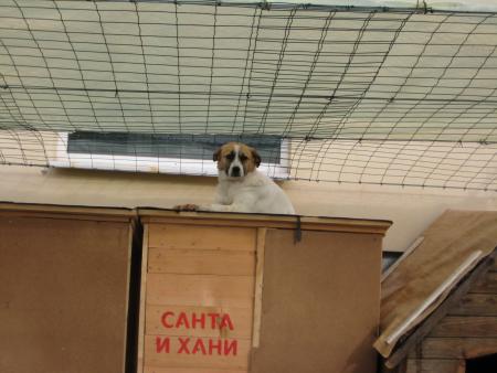 Прикачена снимка