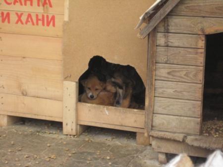Прикачена снимка