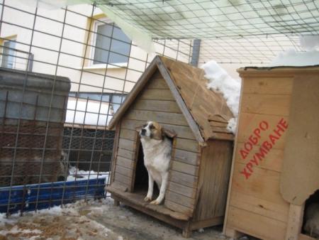 Прикачена снимка