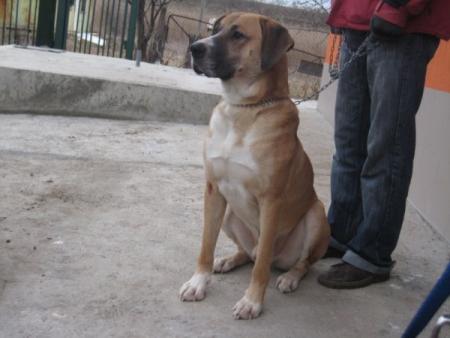 Прикачена снимка