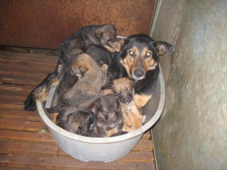 Прикачена снимка