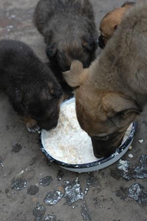 Прикачена снимка