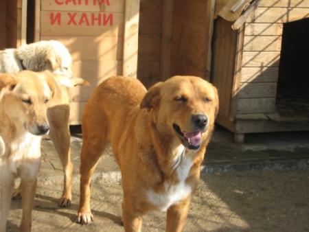 Прикачена снимка