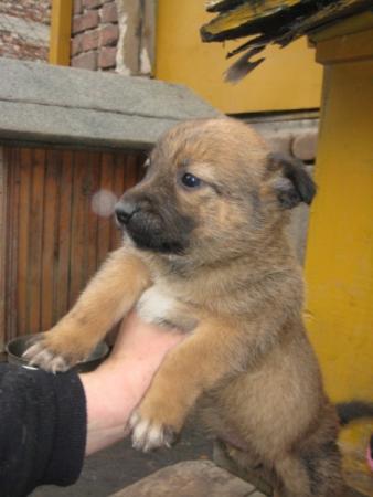 Прикачена снимка