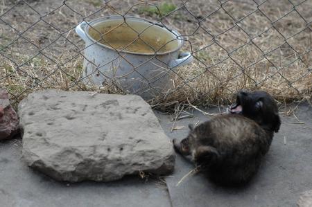Прикачена снимка
