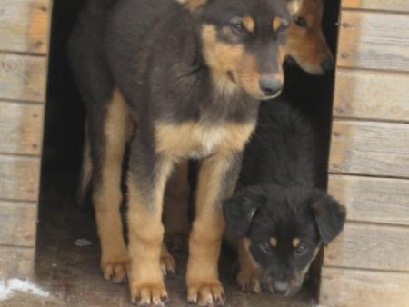 Прикачена снимка