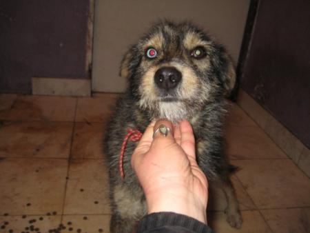 Прикачена снимка