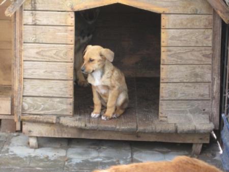 Прикачена снимка