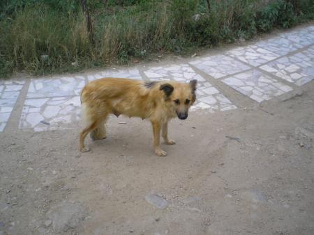 Прикачена снимка