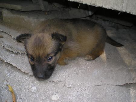 Прикачена снимка