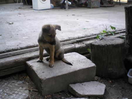 Прикачена снимка