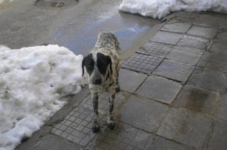 Прикачена снимка