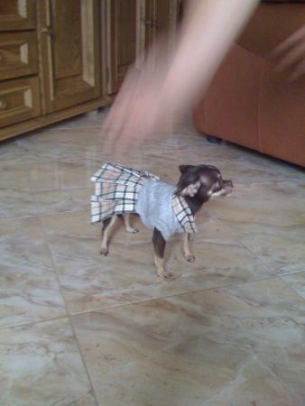 Прикачена снимка