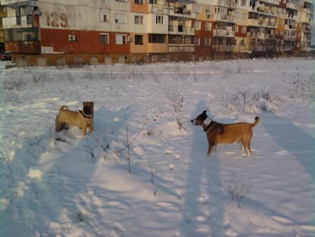 Прикачена снимка