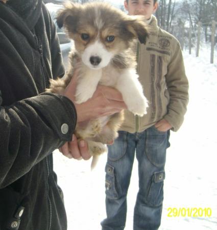 Прикачена снимка