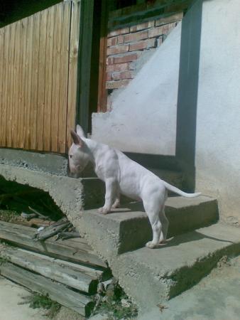 Прикачена снимка