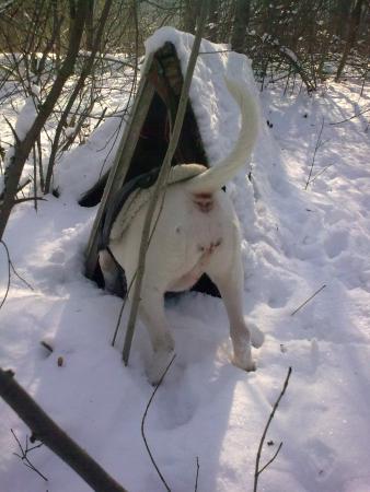Прикачена снимка