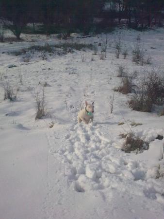 Прикачена снимка