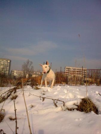 Прикачена снимка