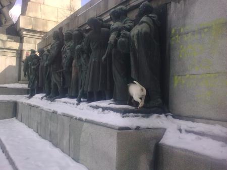 Прикачена снимка