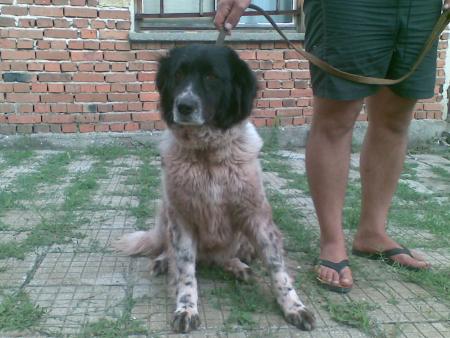 Прикачена снимка