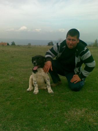 Прикачена снимка