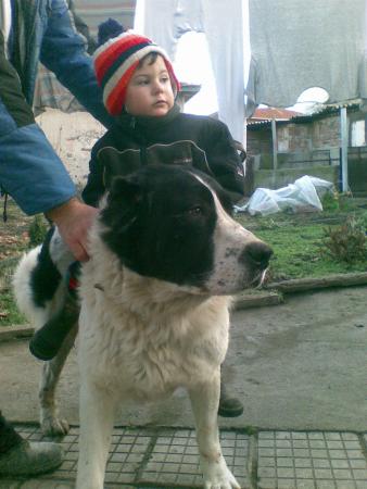 Прикачена снимка