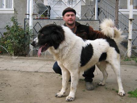 Прикачена снимка