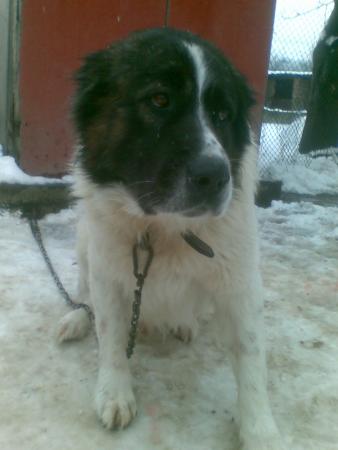 Прикачена снимка