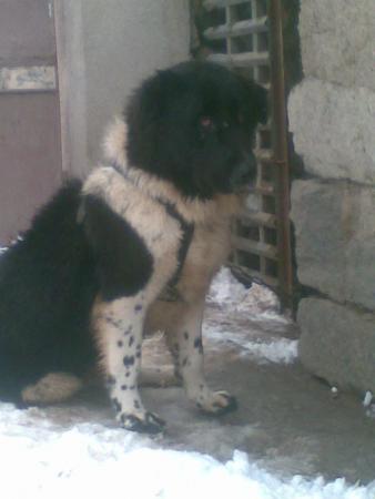 Прикачена снимка