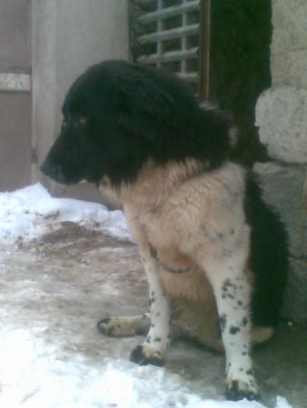 Прикачена снимка