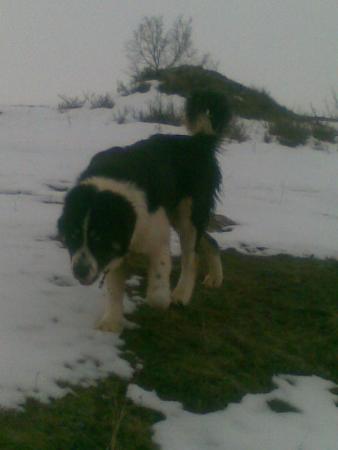 Прикачена снимка