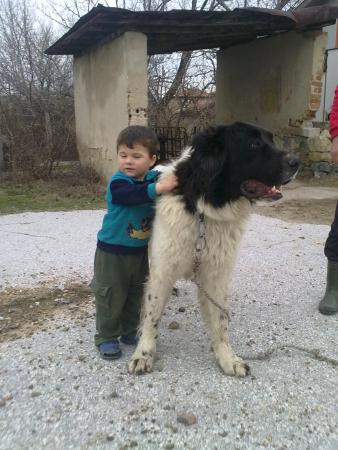 Прикачена снимка