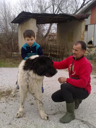 Прикачена снимка