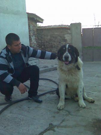 Прикачена снимка