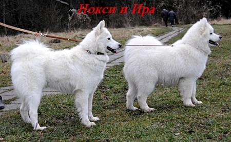 Прикачена снимка