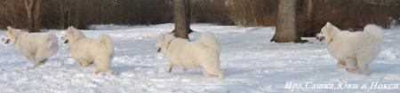 Прикачена снимка