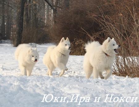 Прикачена снимка
