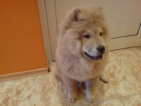 Прикачена снимка