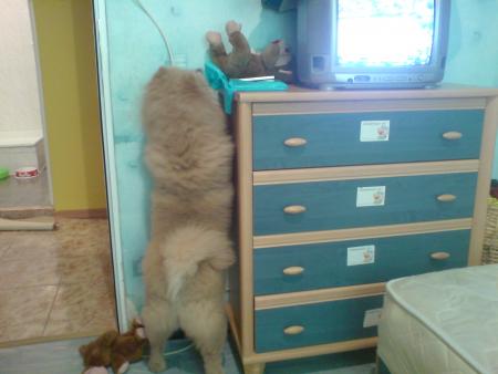 Прикачена снимка