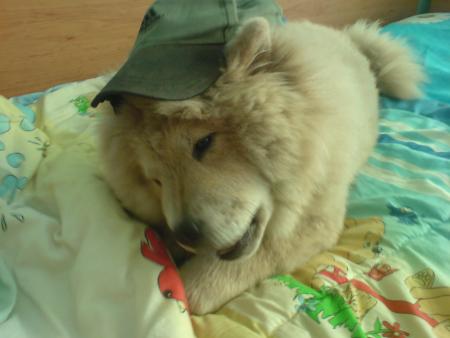 Прикачена снимка