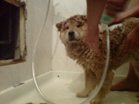 Прикачена снимка