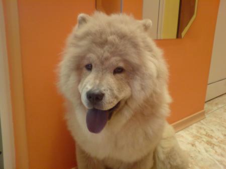 Прикачена снимка