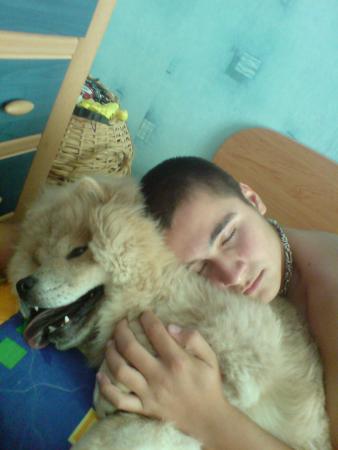 Прикачена снимка