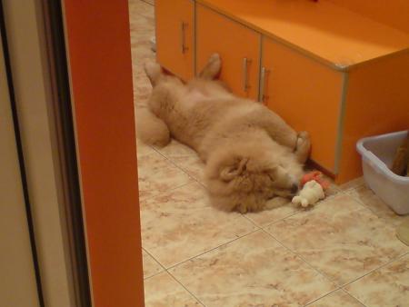 Прикачена снимка