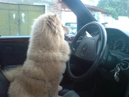 Прикачена снимка