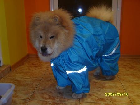 Прикачена снимка