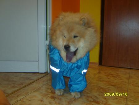 Прикачена снимка