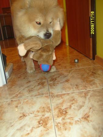 Прикачена снимка