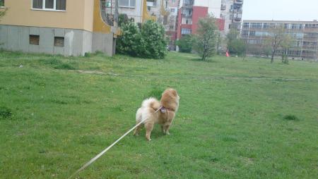 Прикачена снимка